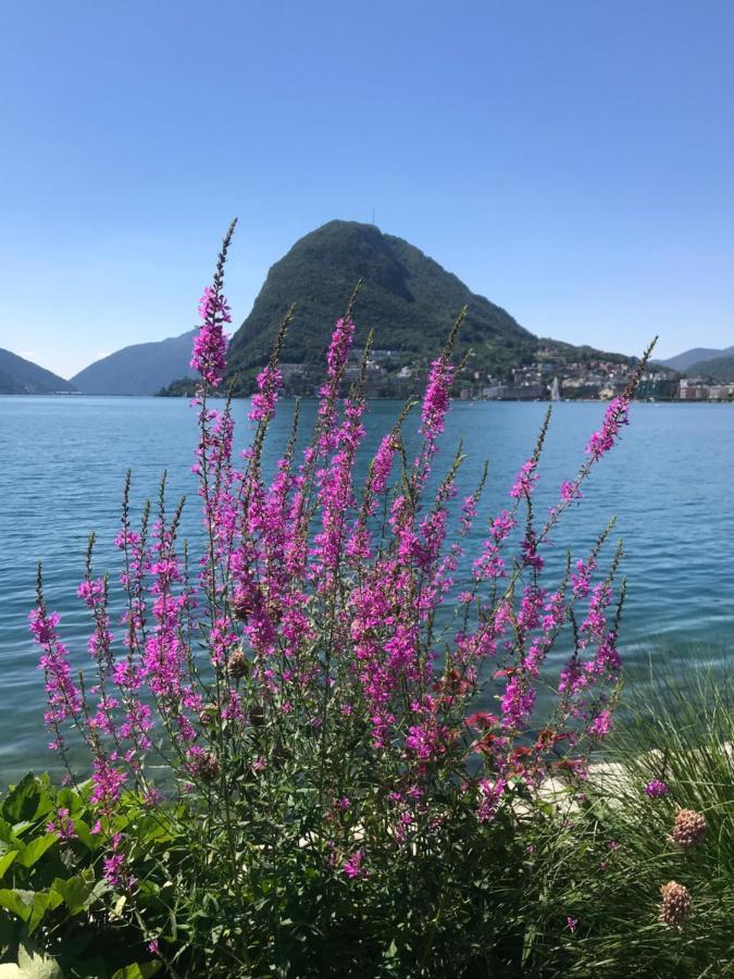 Connie S Home Free Parking Lugano Exteriér fotografie